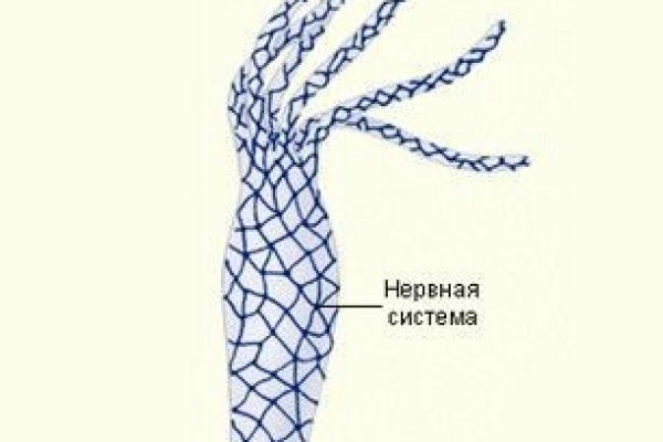 Кракен бошки